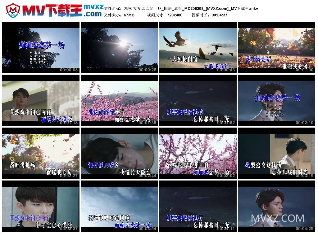 邓彬-痴痴恋恋梦一场_国语_流行_MD205298